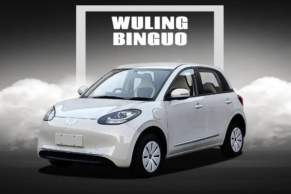 Wuling Binguo